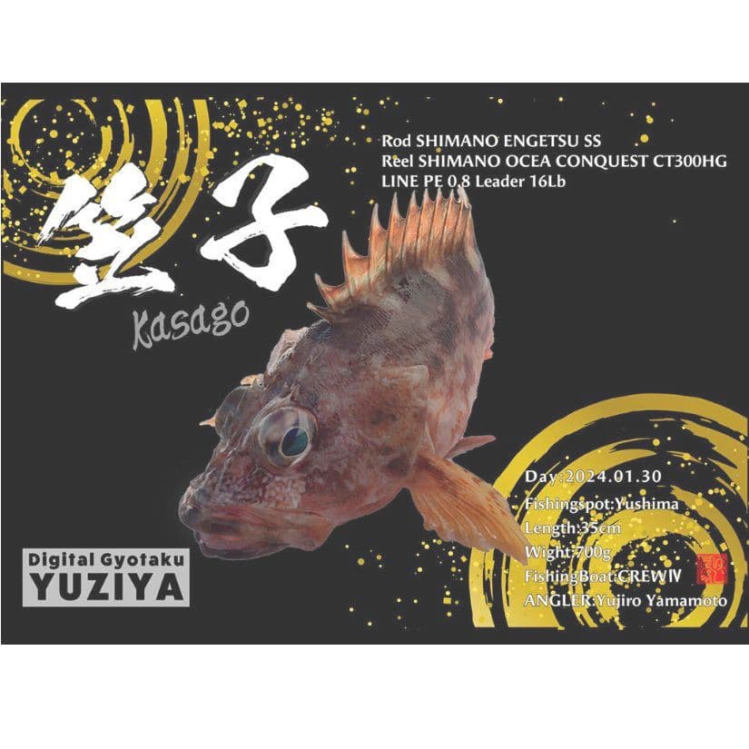 デザイン魚拓　オリジナルデザイン　熊本